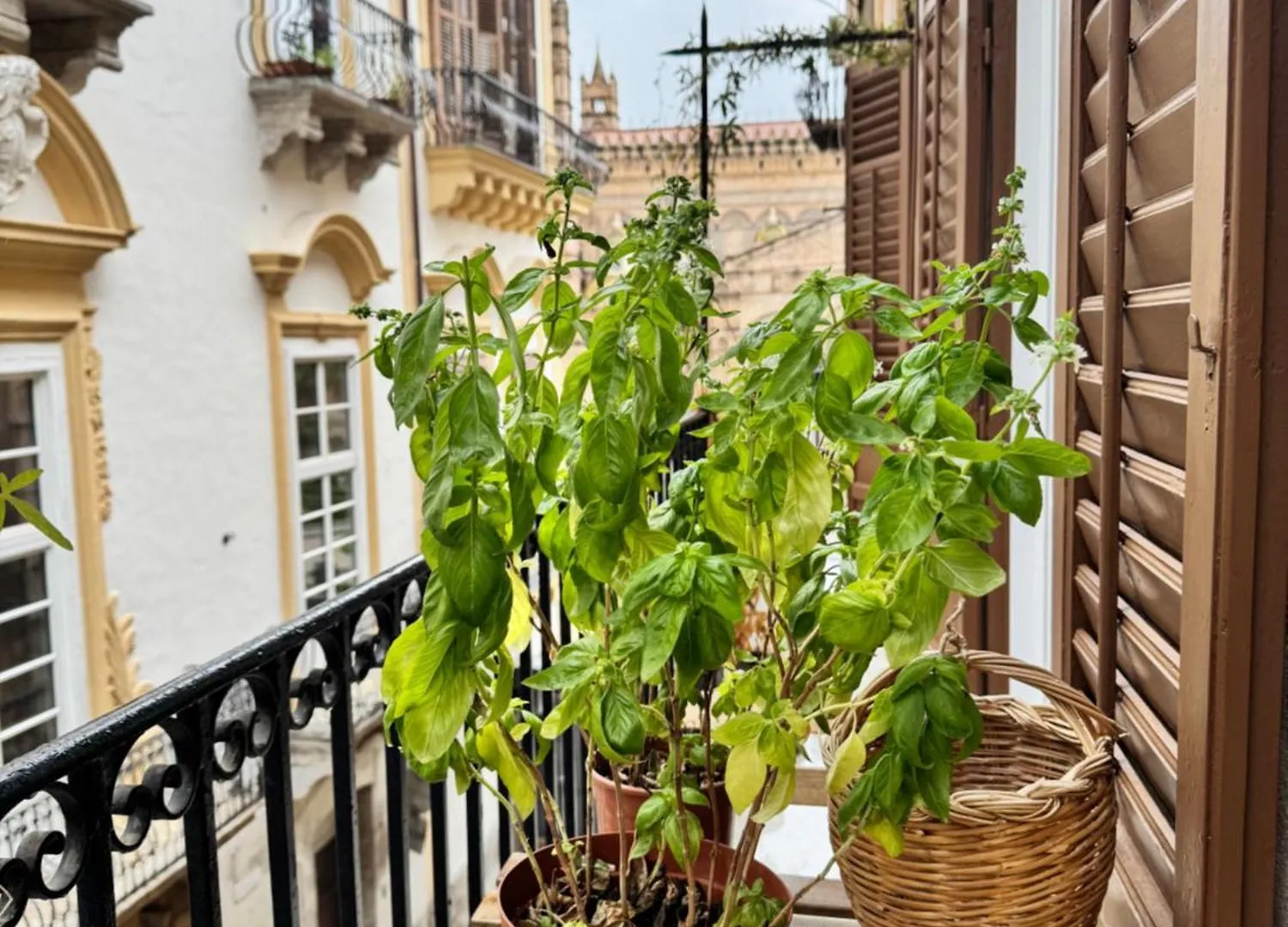 Luxury Cathedral Apartments Palermo